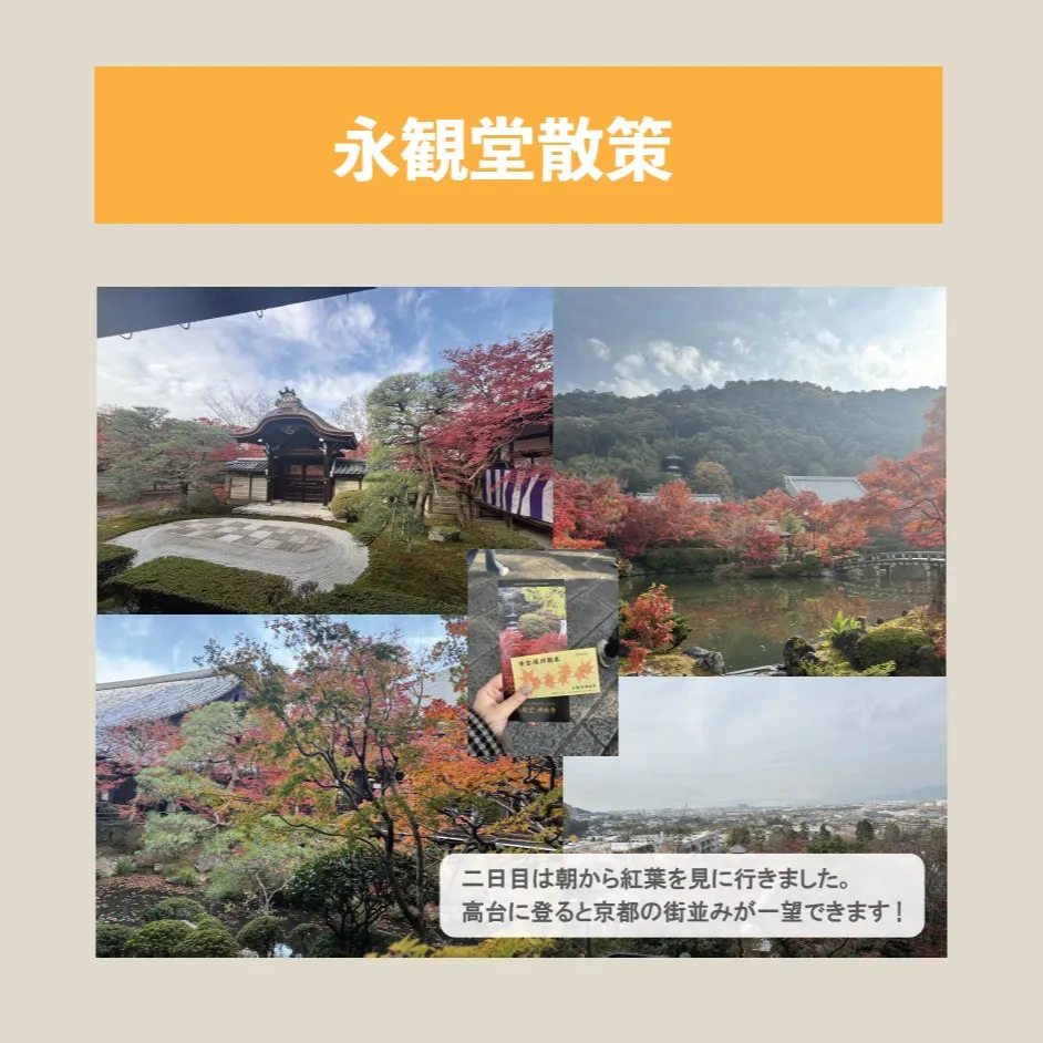 [社員旅行に行ってきました！]